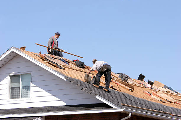 Best Storm Damage Roof Repair  in Elwood, IL